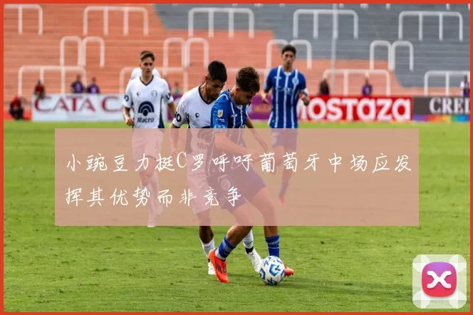 小豌豆力挺C罗呼吁葡萄牙中场应发挥其优势而非竞争